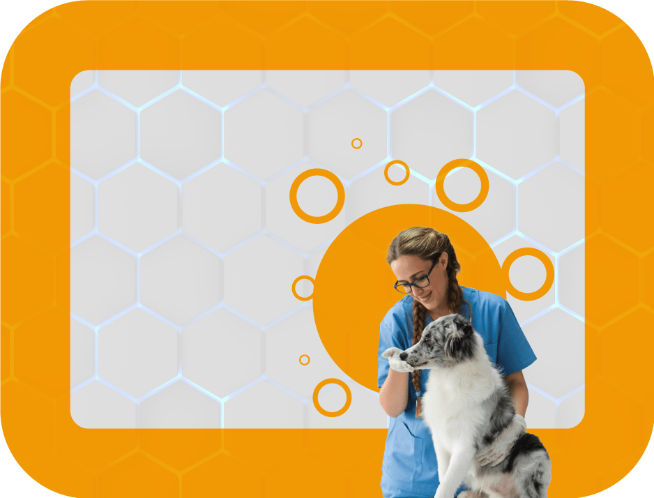Auxiliar-en-Clinica-veterinaria-y-cuidado-de-mascotas
