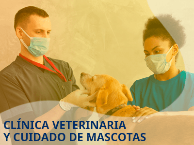 Carrera Técnica de Auxiliar en Clínica Veterinaria y Cuidado de Mascotas