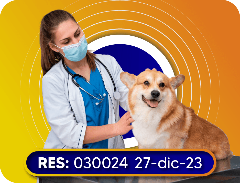 Auxiliar-en-Clinica-veterinaria-y-cuidado-de-mascotas